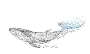 access-rights-of-the-subject-of-personal-data
