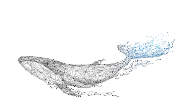 access-rights-of-the-subject-of-personal-data